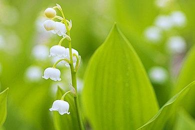 《战地6》放弃光追有了效果：可实现4K＆240fps